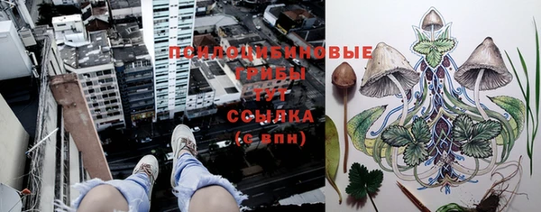 соль курить ск Алексеевка