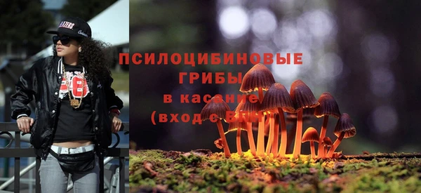 метадон Алзамай